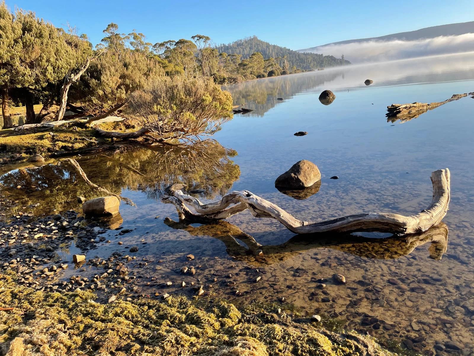 Morning mist over Arthurs Lake in the Tasmanian Central Highlands